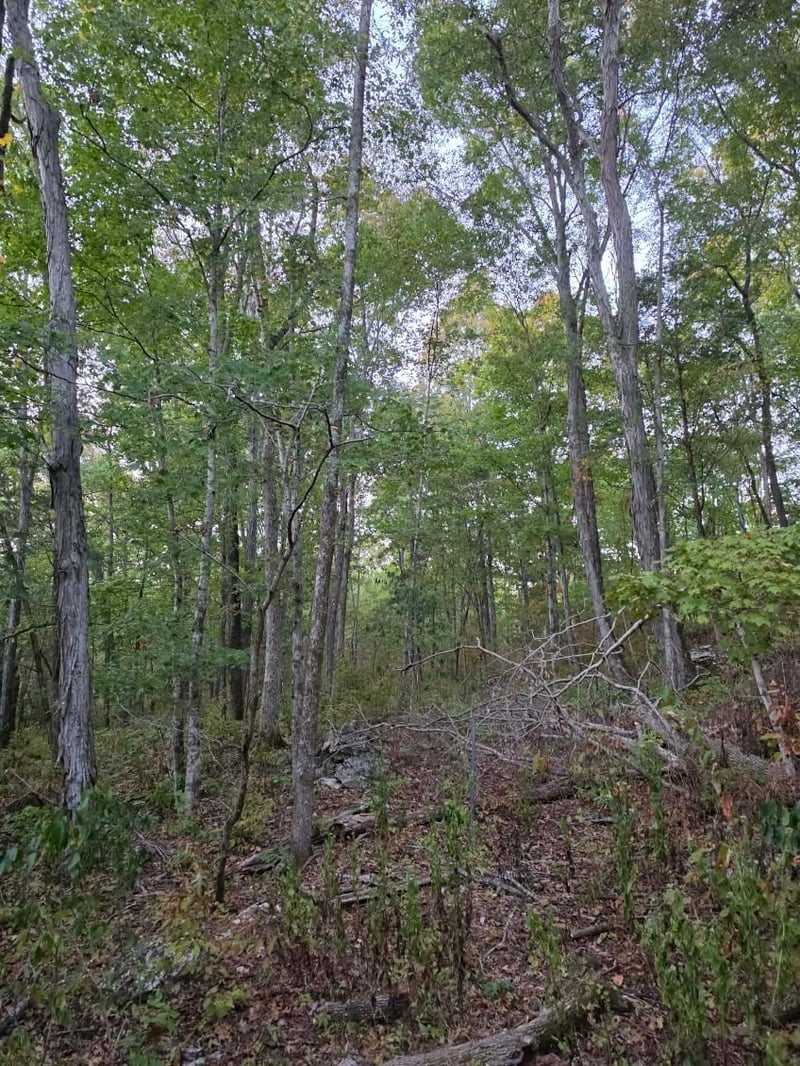 0 Greenfield Estates Dr, Culleoka, TN 38451