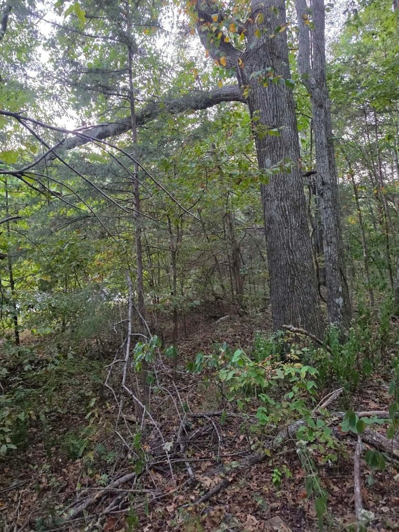 0 Greenfield Estates Dr, Culleoka, TN 38451