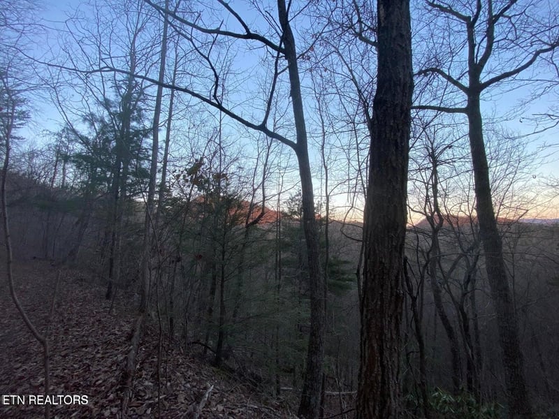 35 Elderberry Dr Lot 35, Sevierville, TN 37876