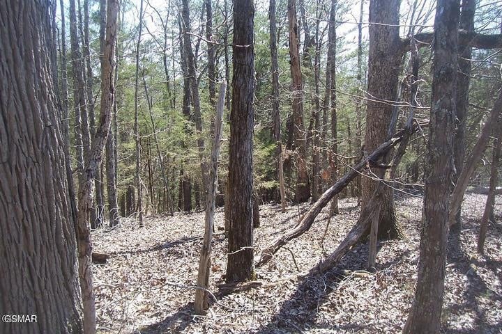 4 Flat Creek Rd Lot 4, Sevierville, TN 37876