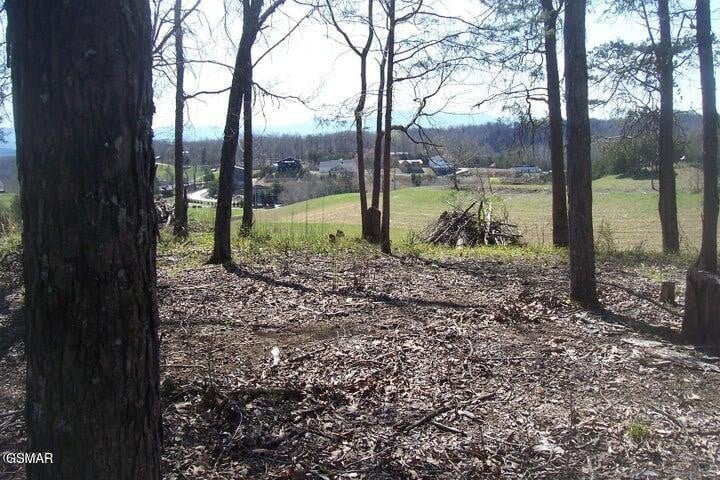 4 Flat Creek Rd Lot 4, Sevierville, TN 37876