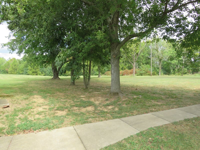 315 Bob Perry Rd, Bethpage, TN 37022