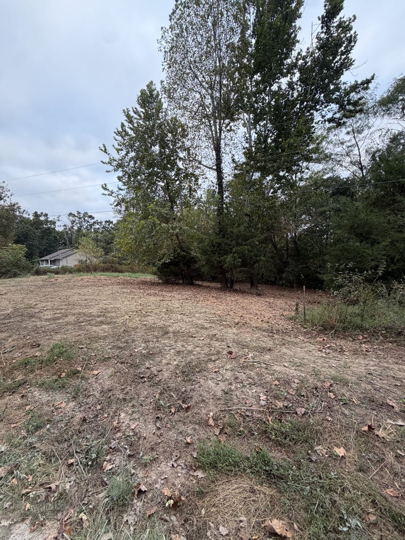 2218 Gina Ln, Mount Pleasant, TN 38474