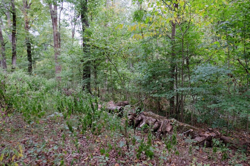 6108 Marrowbone Lake Rd, Joelton, TN 37080
