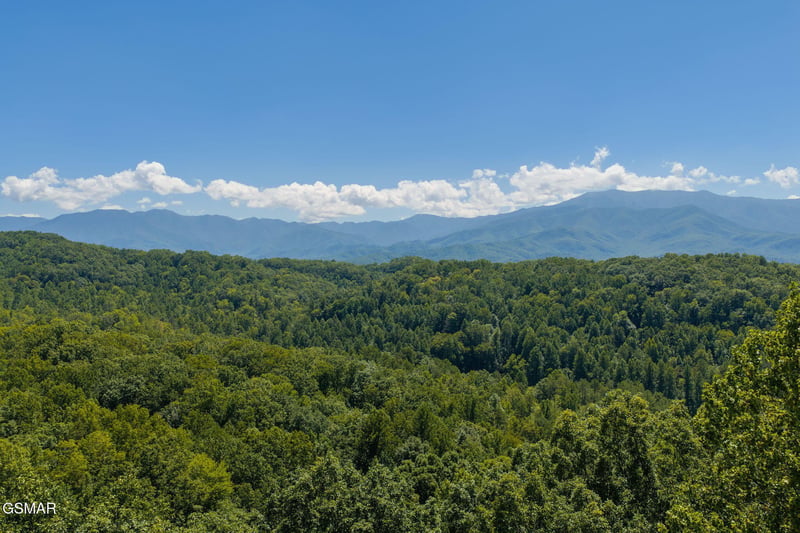 2239 Grassy Branch Rd, Sevierville, TN 37876