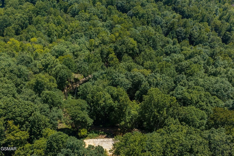 2239 Grassy Branch Rd, Sevierville, TN 37876