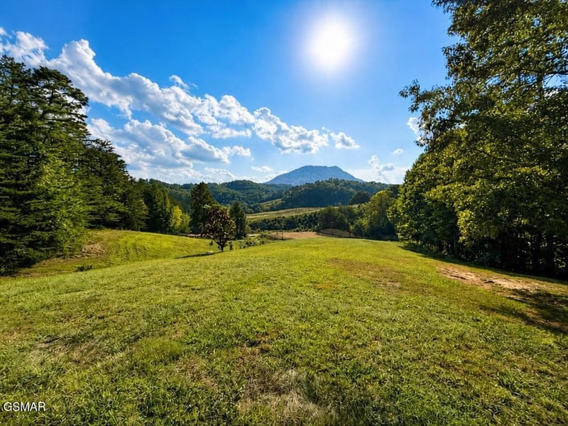 1341 Goose Gap Rd, Sevierville, TN 37876