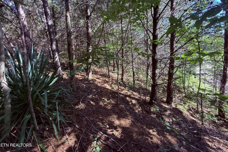 1033 Crown Ridge Ln, Powell, TN 37849