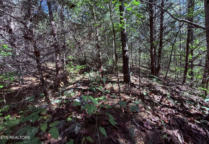 1041 Crown Ridge Ln, Powell, TN 37849