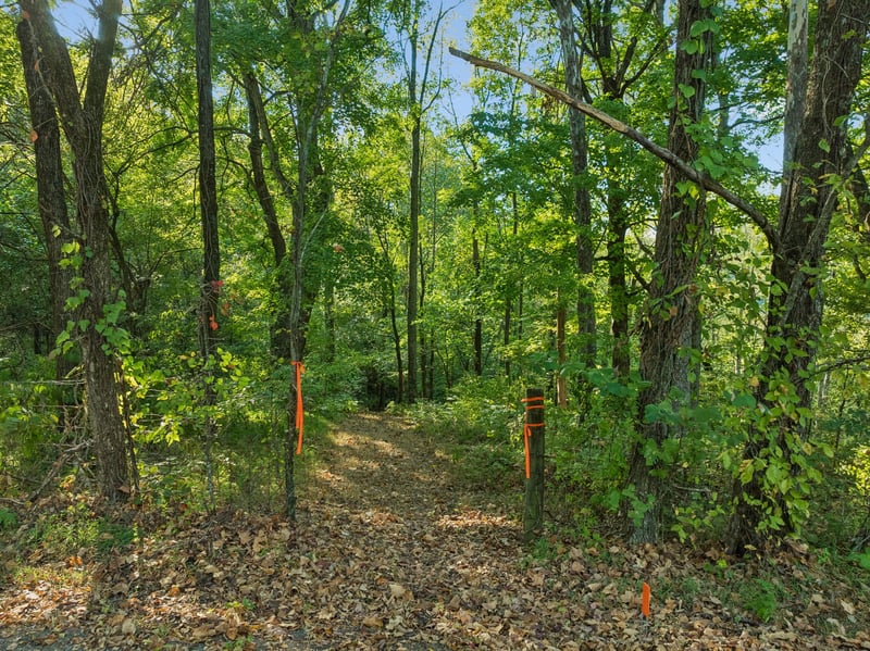 0 Spring Water Ln, Thompsons Station, TN 37179