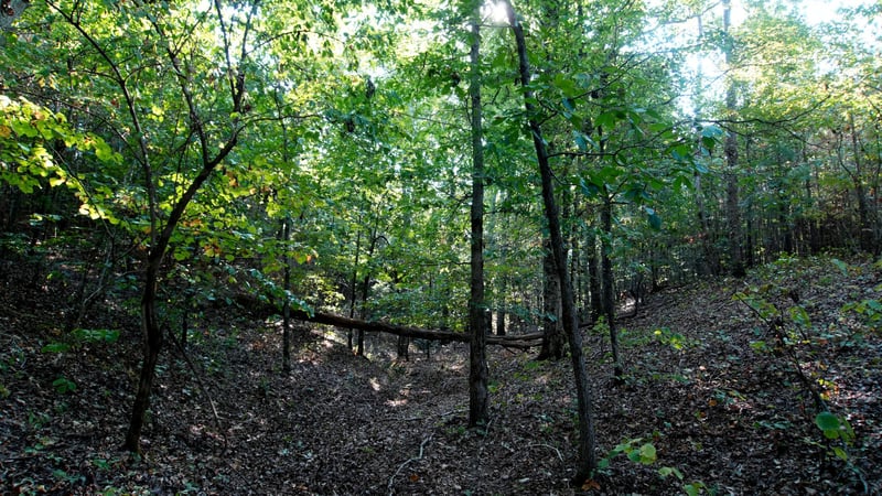 1 Ables Rd, Cherokee, AL 35616
