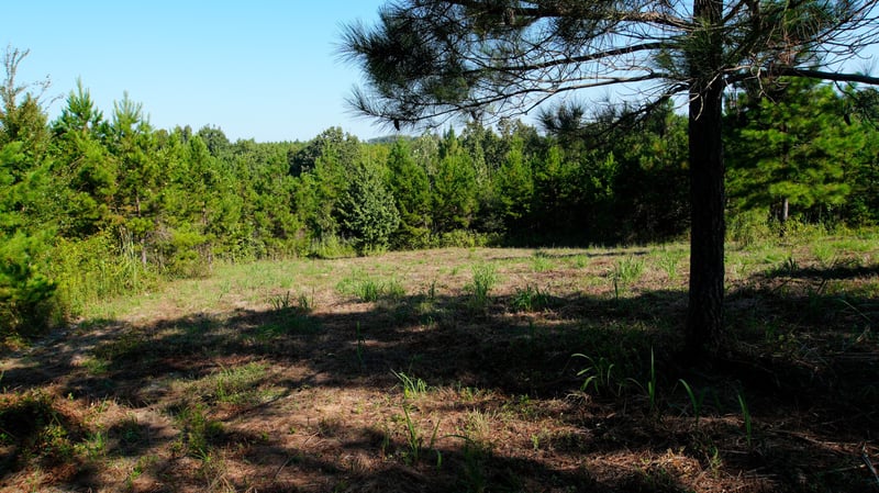 1 Ables Rd, Cherokee, AL 35616