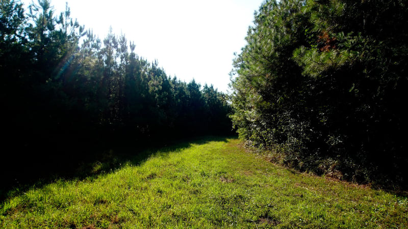 1 Ables Rd, Cherokee, AL 35616