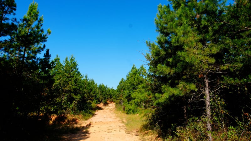 1 Ables Rd, Cherokee, AL 35616