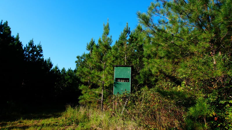 3 Ables Rd, Cherokee, AL 35616