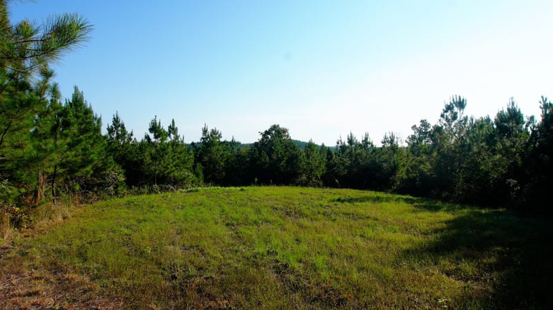 3 Ables Rd, Cherokee, AL 35616