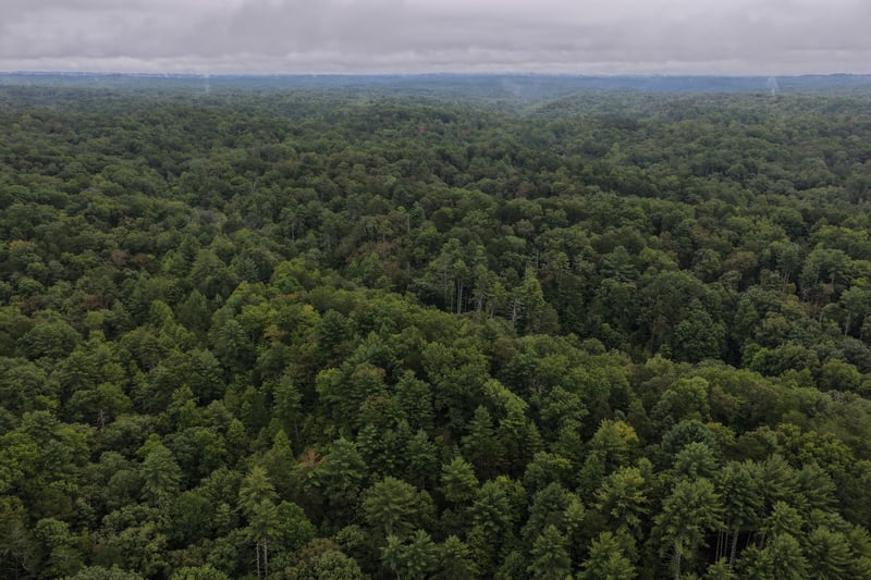 0 Redwood Ln, Ellijay, GA 30540