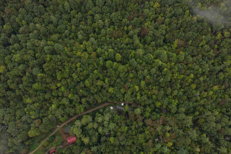 0 Redwood Ln, Ellijay, GA 30540