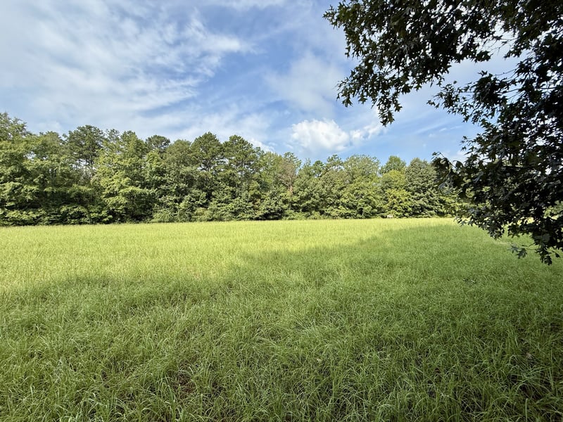 836 Bird Spring Rd SW, Hartselle, AL 35640