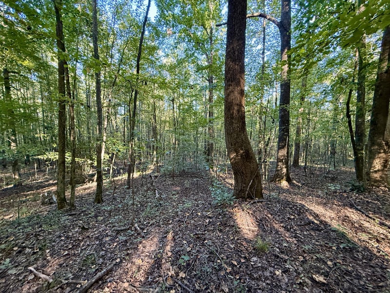 836 Bird Spring Rd SW, Hartselle, AL 35640