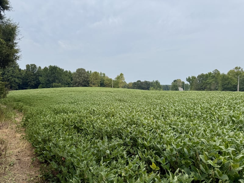 0 Oakdale Rd, Athens, AL 35613