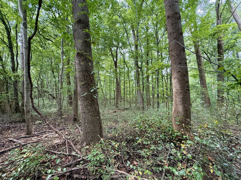 0 Oakdale Rd, Athens, AL 35613