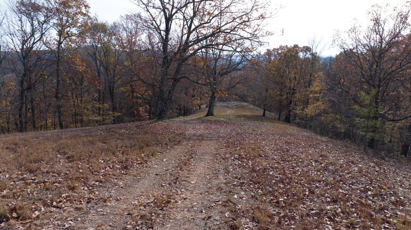 0 Brazier Ln Lot 11, Gallatin, TN 37066