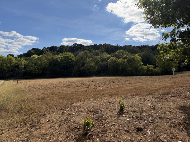 11 Booker Ridge Rd Lot 11, Mount Pleasant, TN 38474