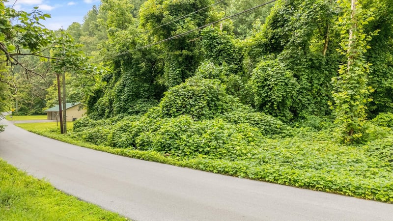 0 Catons Chapel Rd Lot 30, Sevierville, TN 37876
