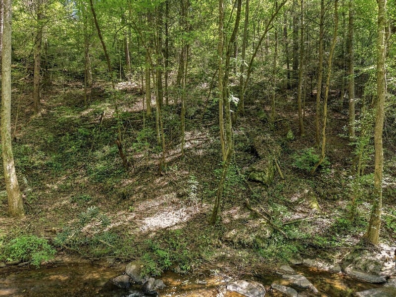 0 Dell Moore Rd Lot 3, Marble Hill, GA 30148