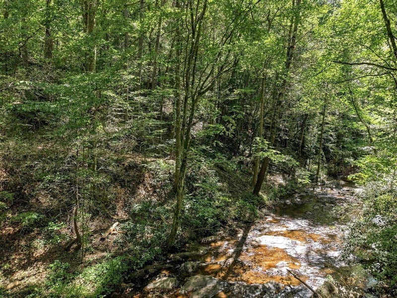 0 Dell Moore Rd Lot 4, Marble Hill, GA 30148