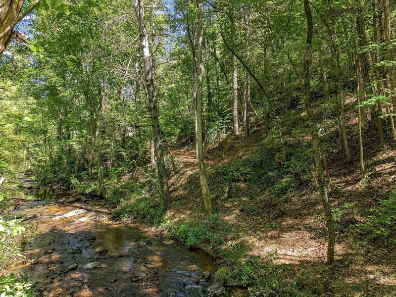 0 Dell Moore Rd Lot 4, Marble Hill, GA 30148