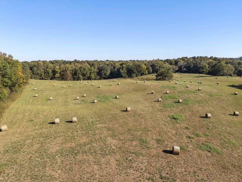 0 Maple Grove Rd, Dickson, TN 37055