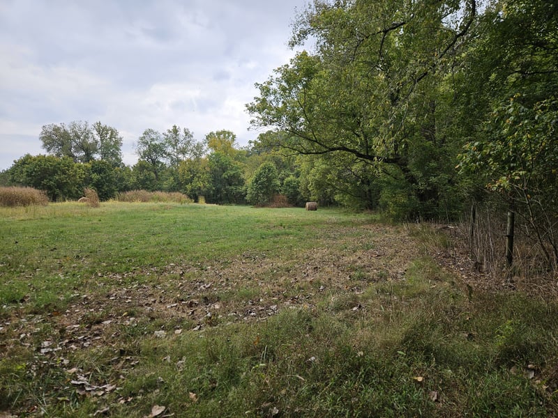 5570 Jr Jones Rd, Cedar Hill, TN 37032