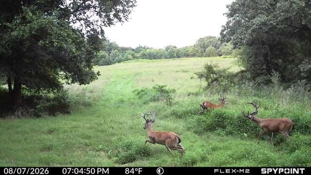 0 Spencer Mill Rd, Burns, TN 37029