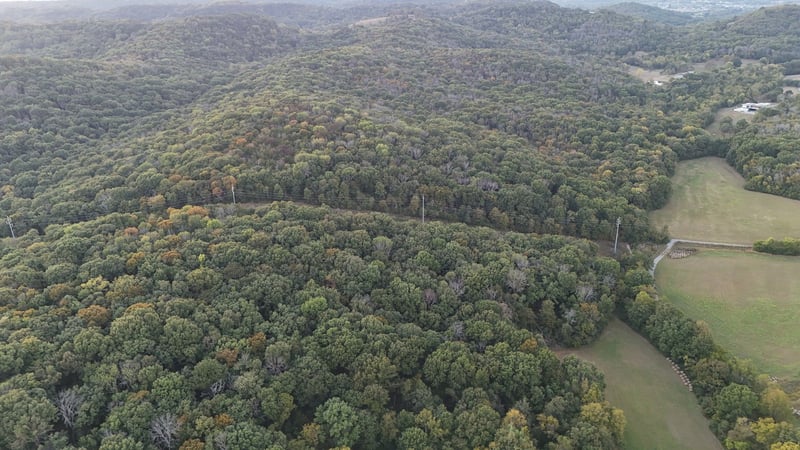 0 Palmore Hollow Ln, Nolensville, TN 37135