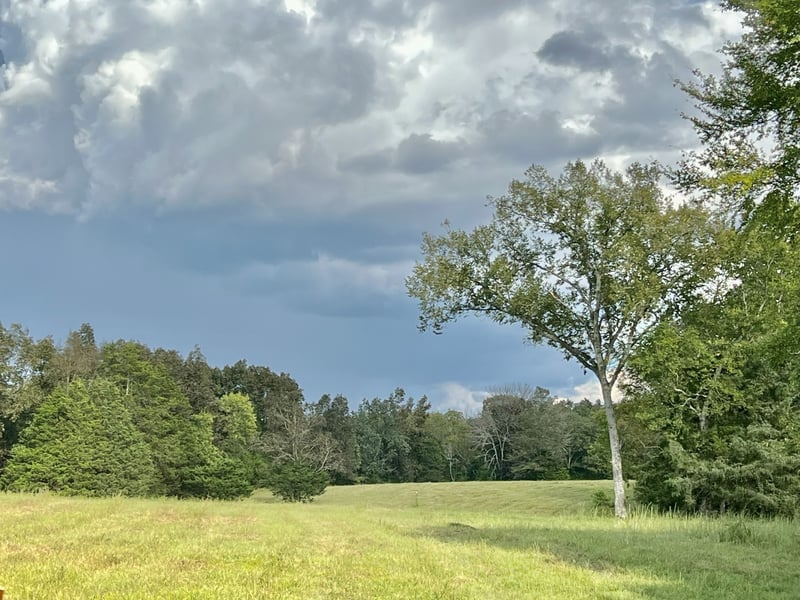4840 Joe Peay Rd, Spring Hill, TN 37174
