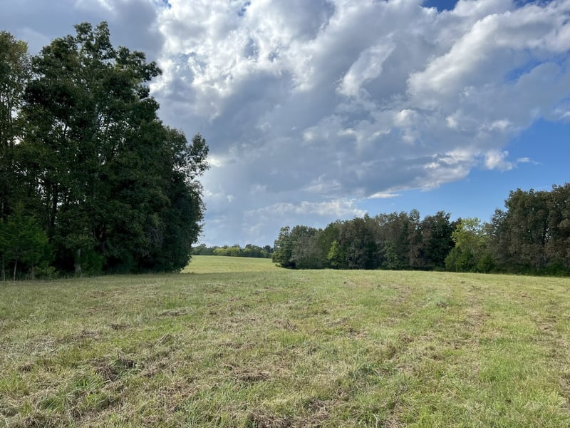 4840 Joe Peay Rd, Spring Hill, TN 37174