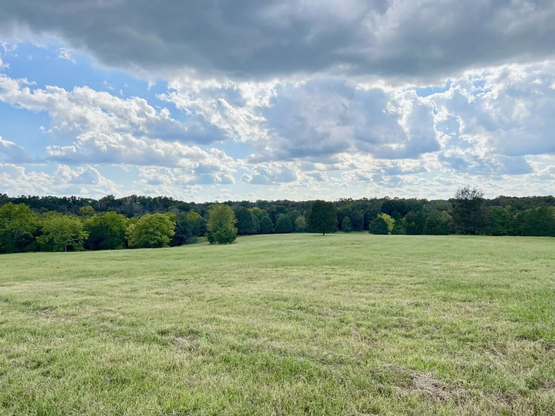 4840 Joe Peay Rd, Spring Hill, TN 37174