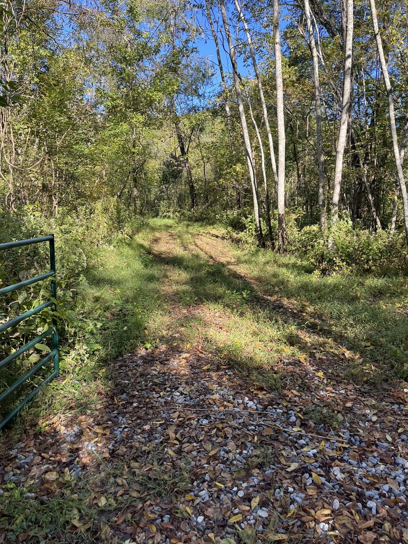 665 Bugg Hollow Rd, Gallatin, TN 37066