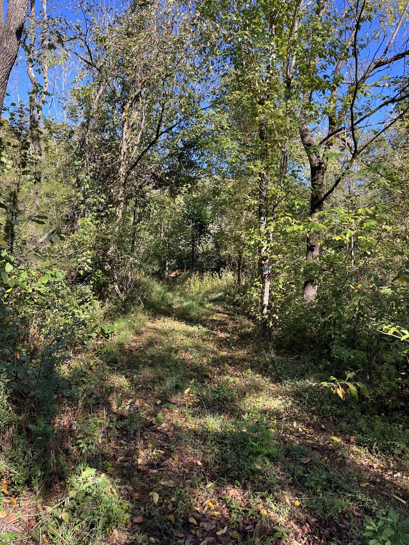 665 Bugg Hollow Rd, Gallatin, TN 37066