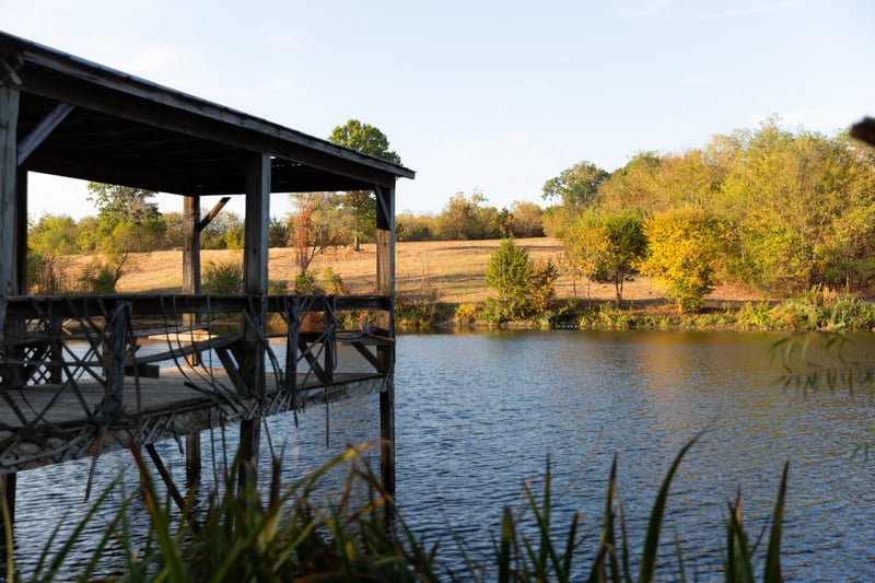 9010 Highway 269 Bell Buckle Rd, Christiana, TN 37037