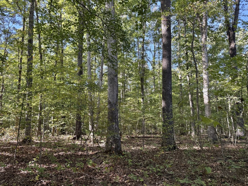 0 Old Spencer Mill Rd, Burns, TN 37029