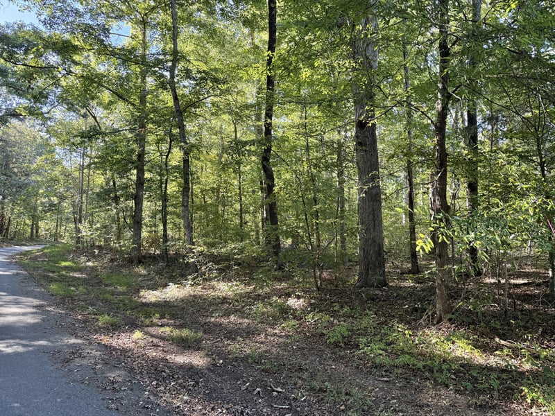 0 Old Spencer Mill Rd, Burns, TN 37029