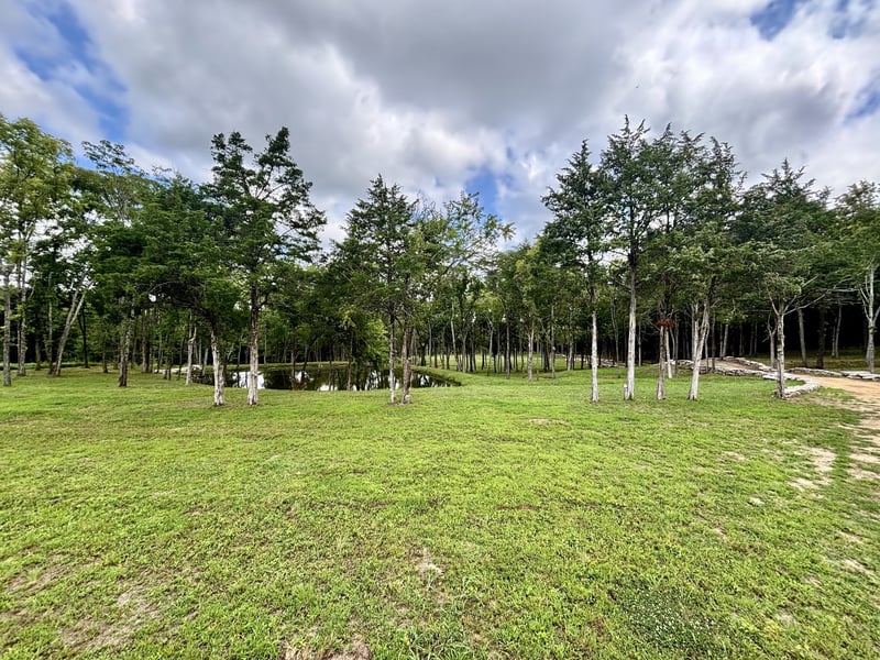 8598 Taliaferro Rd, Eagleville, TN 37060