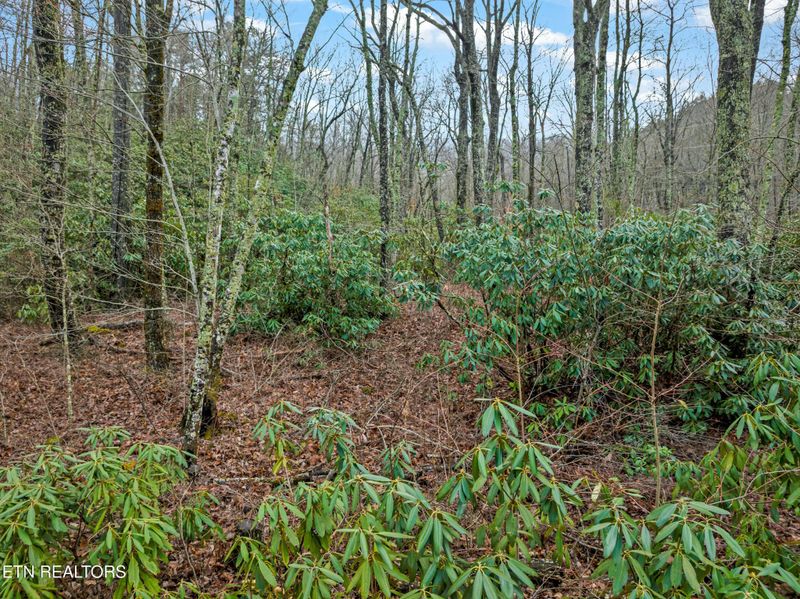 3824 Bear Camp Way, Sevierville, TN 37862