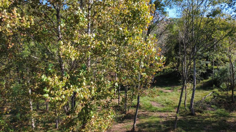 153 Lena Loop Lot 30, Burns, TN 37029