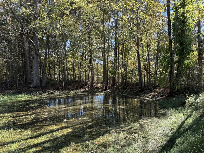 2 Lindsley Rd, Lebanon, TN 37090