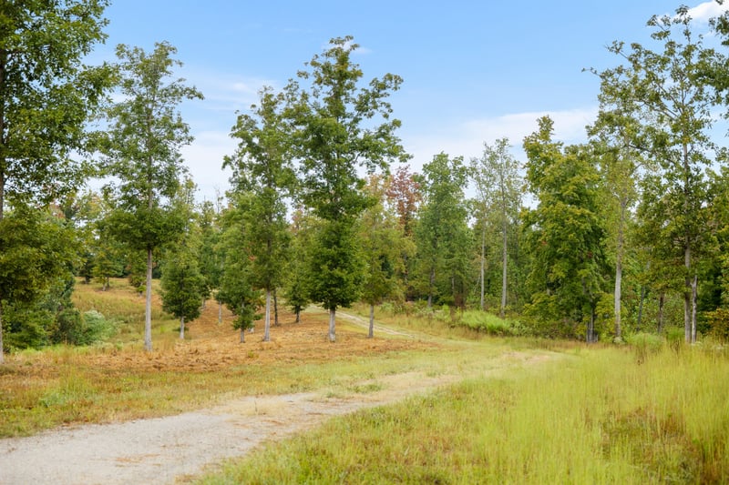 0 Highway 70, Pegram, TN 37143