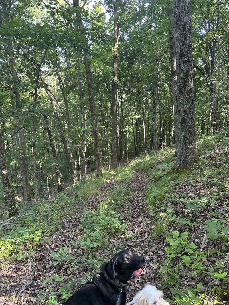 220 Selah Pvt Pa, Gallatin, TN 37066